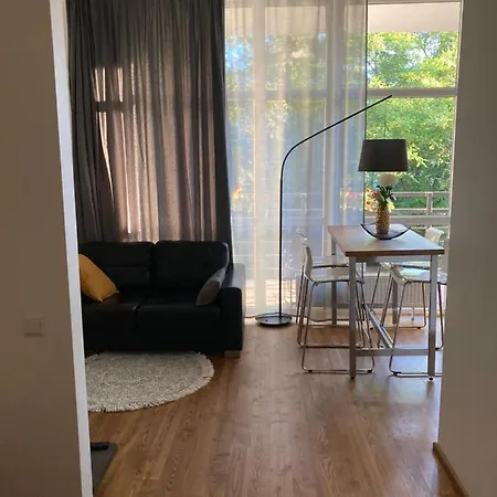 Dzelzavas 19/3 Apartamento *
